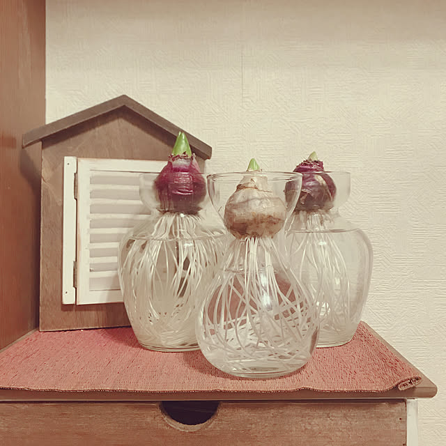 yukaさんの実例写真