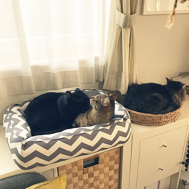 yuki0511さんの実例写真