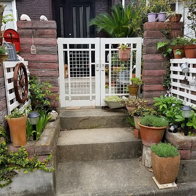 midoriさんの実例写真