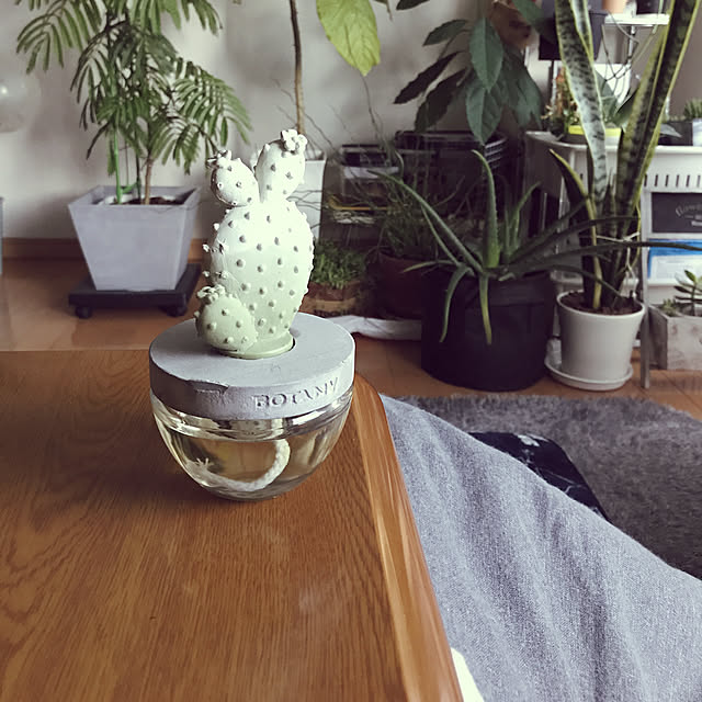 powakyonさんの実例写真