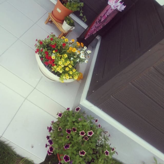 puuさんの実例写真