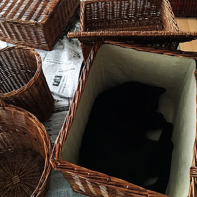 miyuさんの実例写真