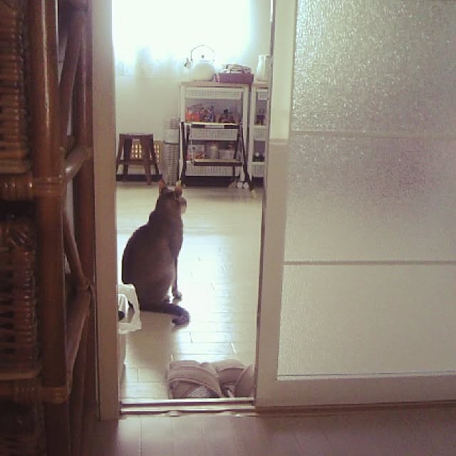 miikoさんの実例写真