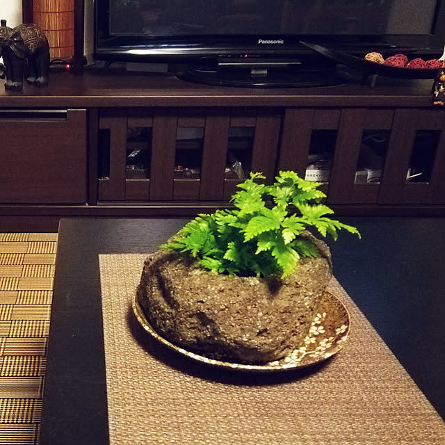 リビング/観葉植物のある暮らしのインテリア実例 - 2018-10-18 15:42:38