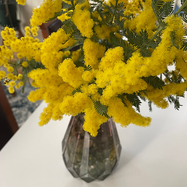 Andaluciaさんの実例写真