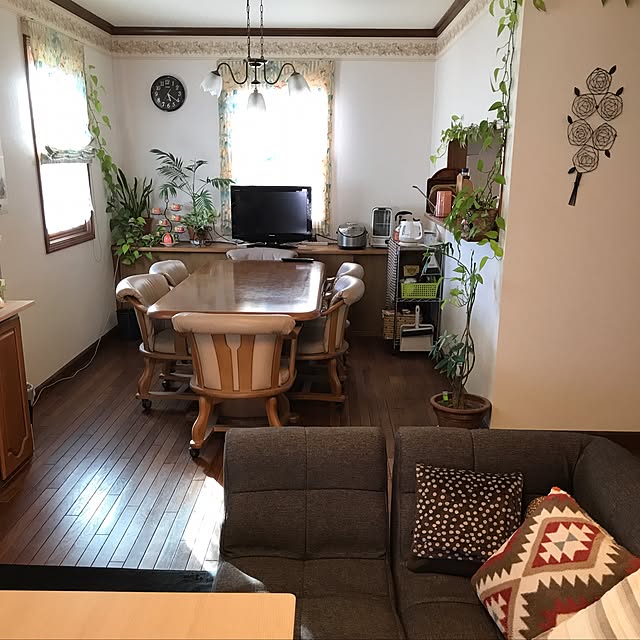 部屋全体/観葉植物/ニトリのインテリア実例 - 2017-06-02 17:32:33