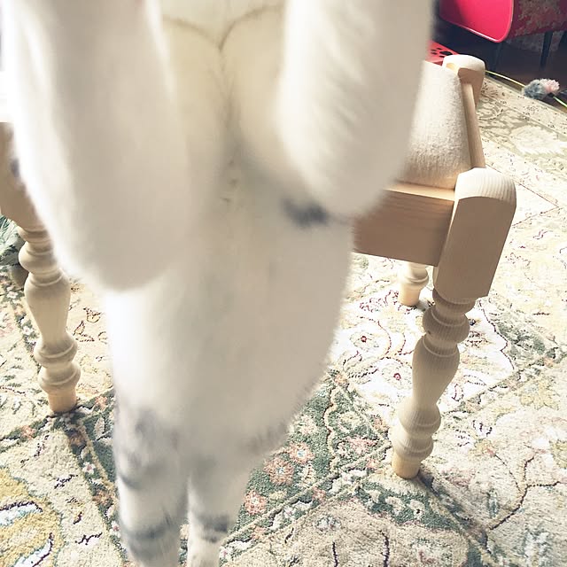 emmyyさんの実例写真