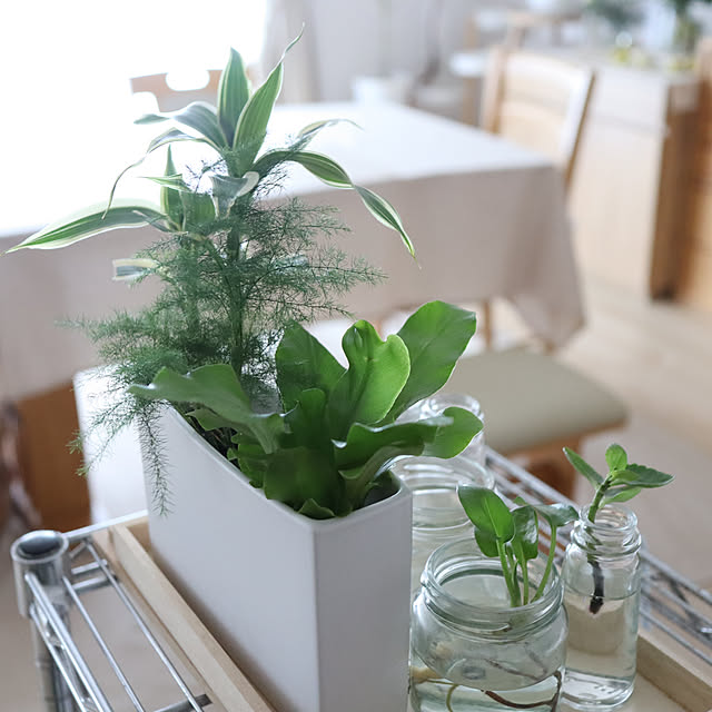 Summerさんの部屋