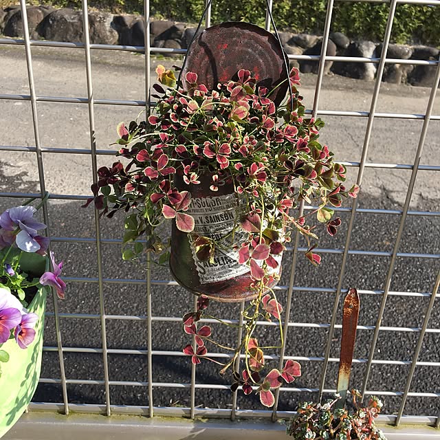 sanw2225719さんの実例写真