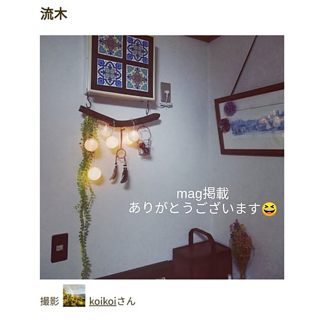 koikoiさんの実例写真