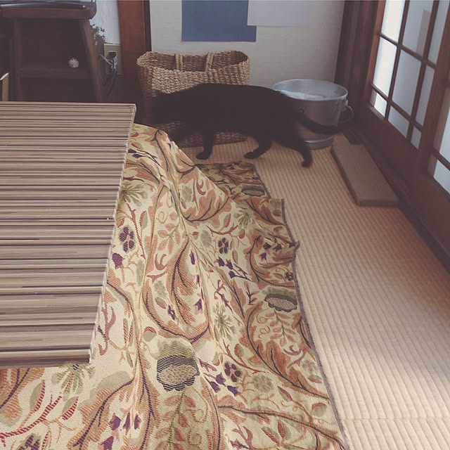 mi88888さんの実例写真