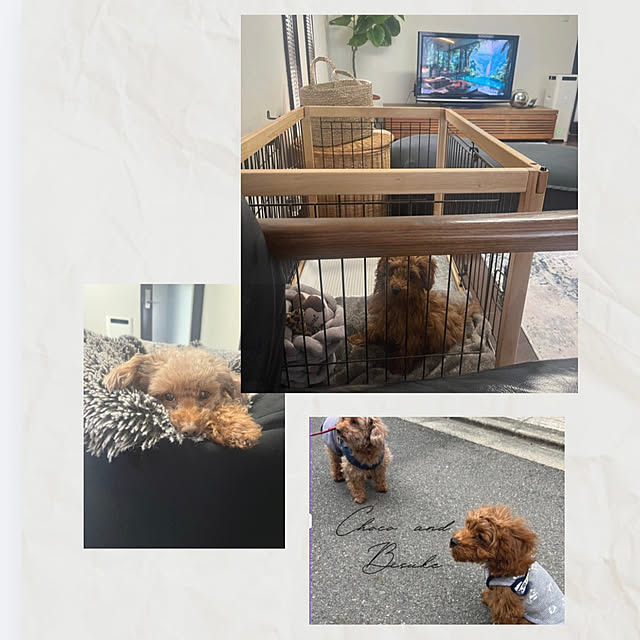 yukimonoさんの部屋