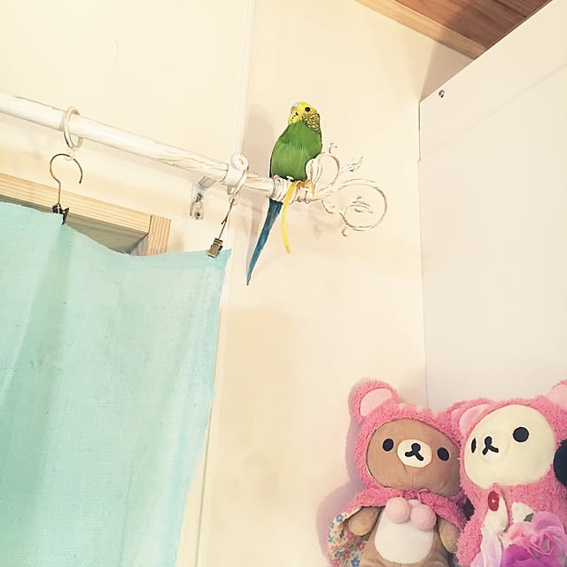 megumeguさんの実例写真
