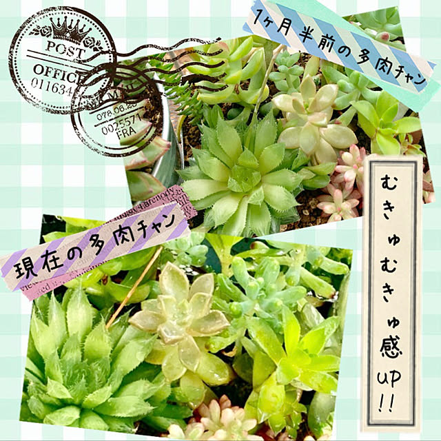 mo-nosukeさんの実例写真