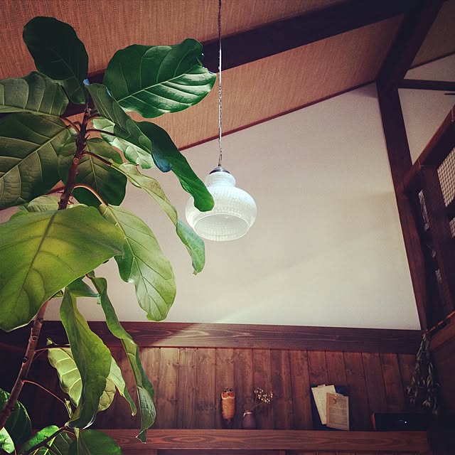 kinari.akariさんの実例写真