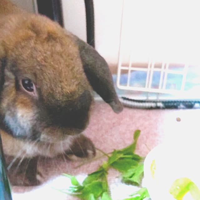 mariaさんの部屋