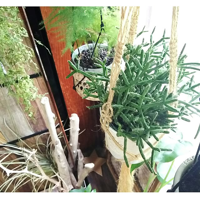 tomokaさんの実例写真