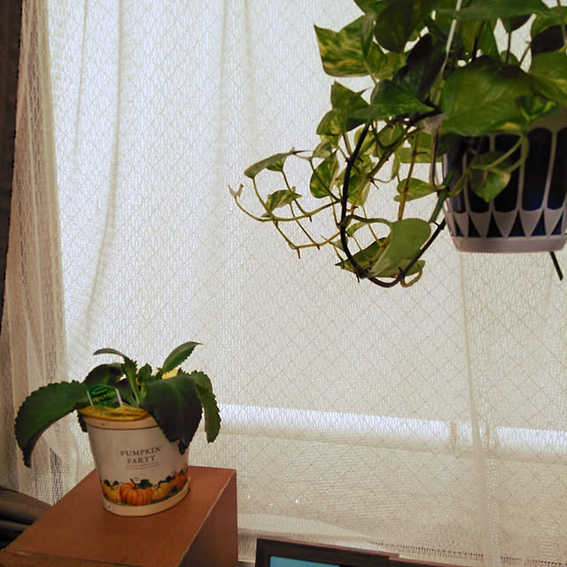 chimさんの実例写真