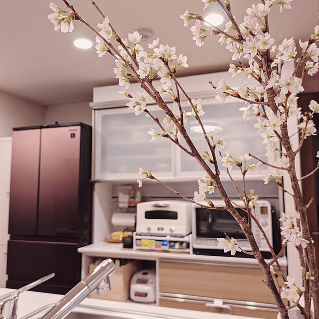 キッチン/食器棚/冷蔵庫/ナチュラルインテリア/桜...などのインテリア実例 - 2025-02-09 20:01:41