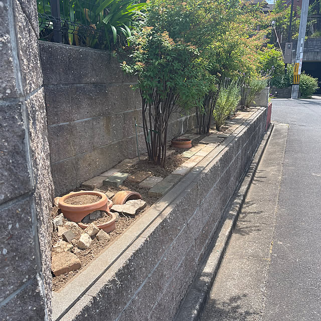 kikiさんの実例写真