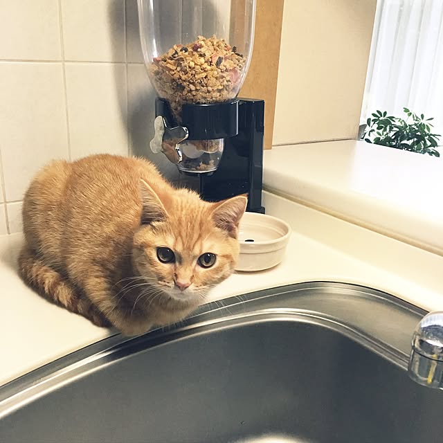 rumiさんの実例写真