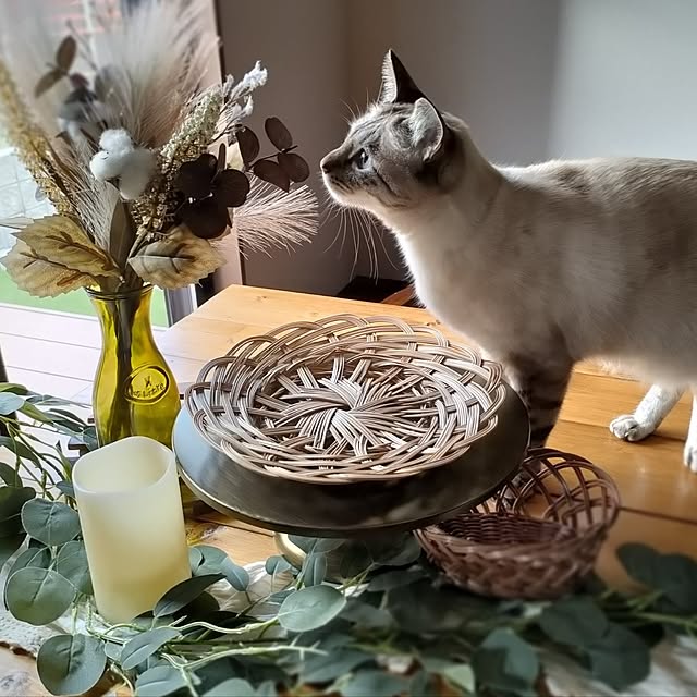 Atelier_tamakiさんの部屋