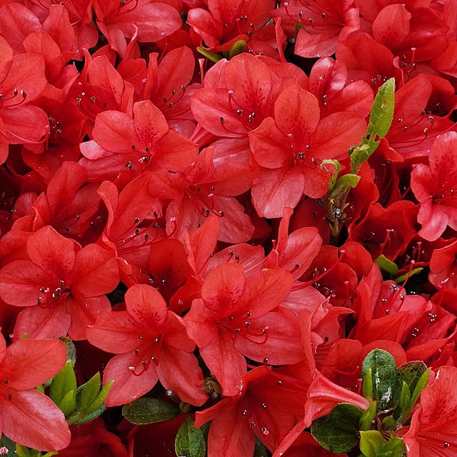 takeyoshiさんの部屋