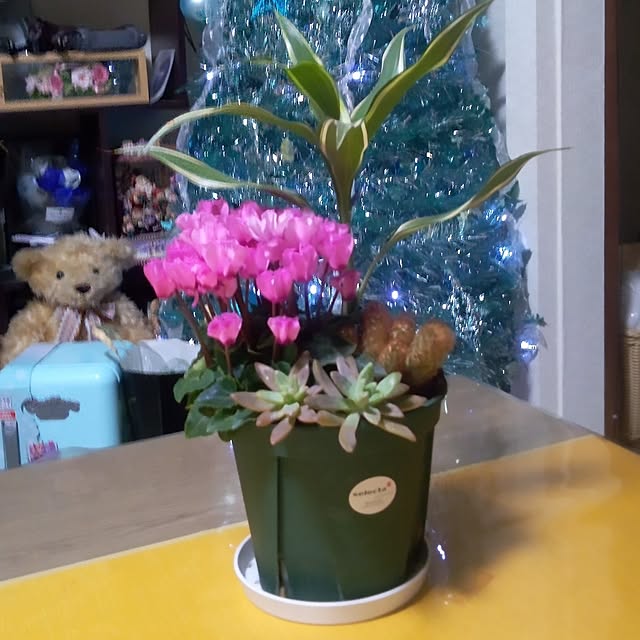 Yoshietanka3492さんの実例写真