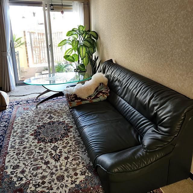 takoさんの実例写真