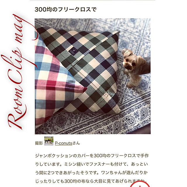 P-conutsさんの実例写真