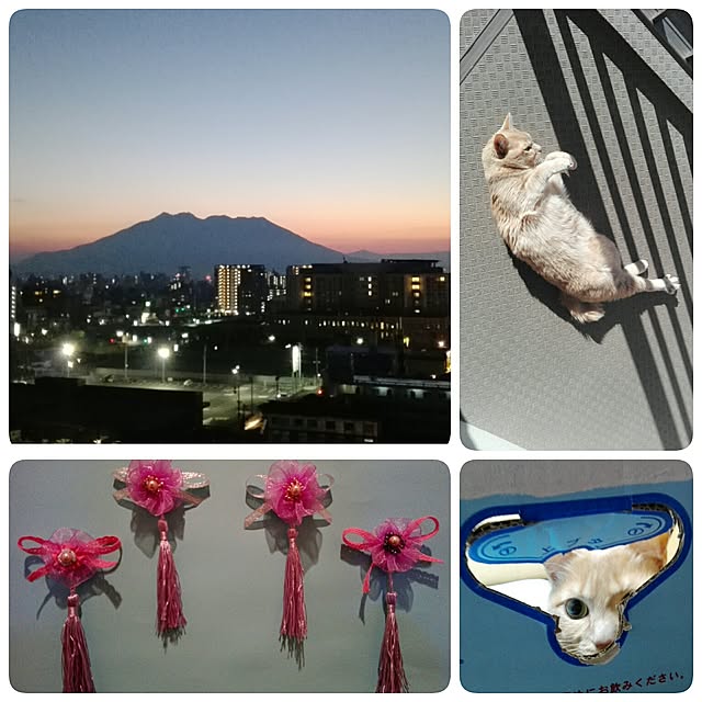 nana.maroさんの実例写真