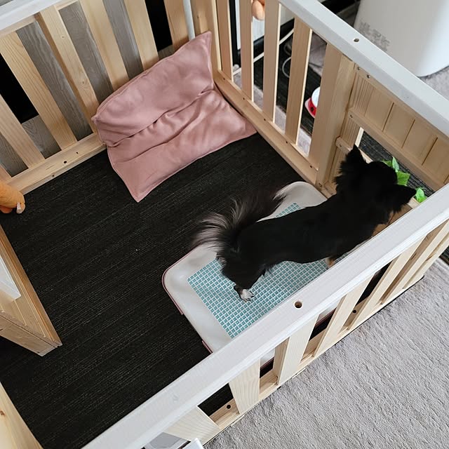 sinさんの部屋