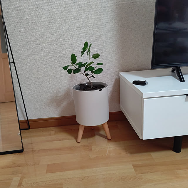 miyukiさんの実例写真