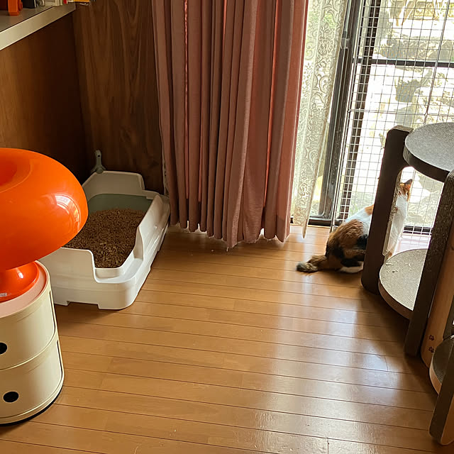 kibidangotabetaiさんの実例写真