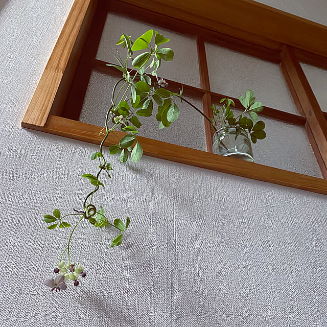do___ra.さんの実例写真