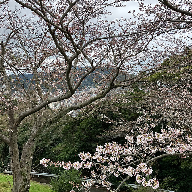 koshiregutyoさんの実例写真