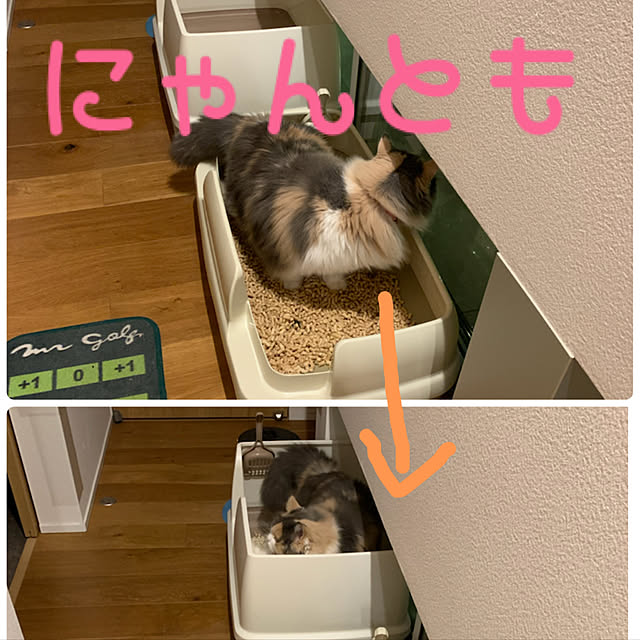 marikoさんの実例写真