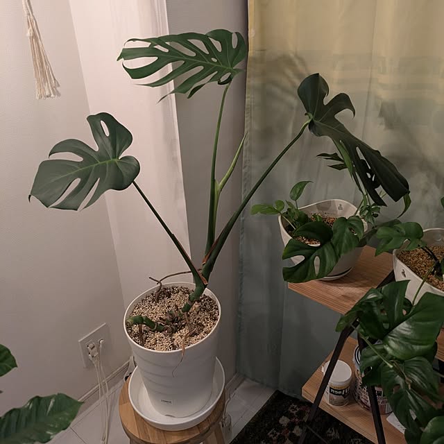 kolo92さんの部屋