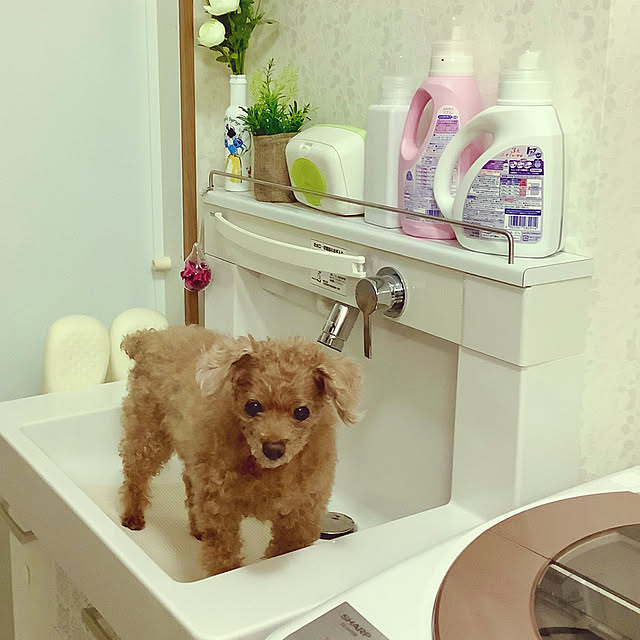 haruminさんの実例写真
