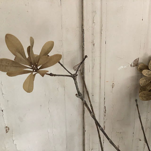 ot_aka1964さんの実例写真