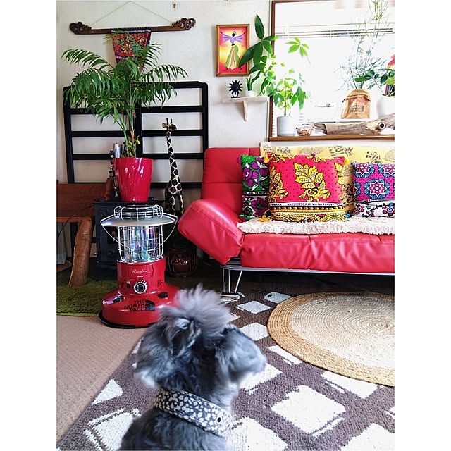 bonitoさんの実例写真