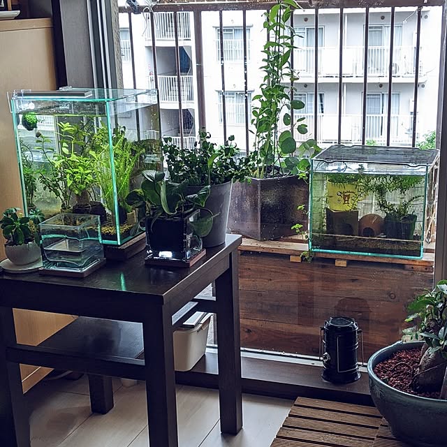 mi-saさんの部屋