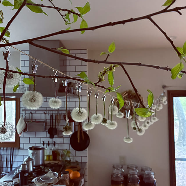 marucoさんの実例写真