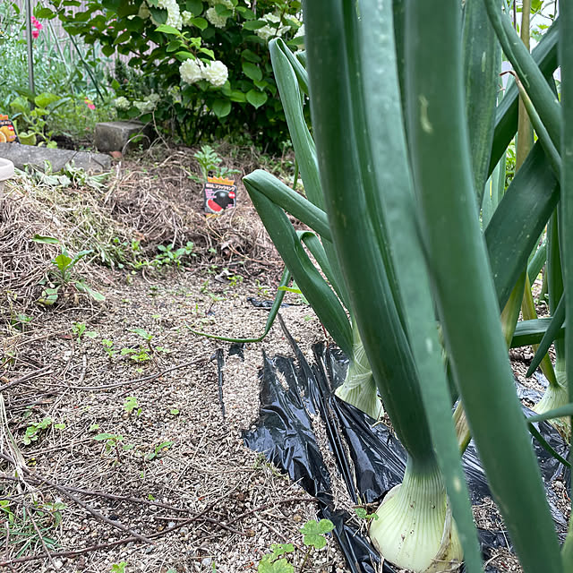 natsumiさんの部屋