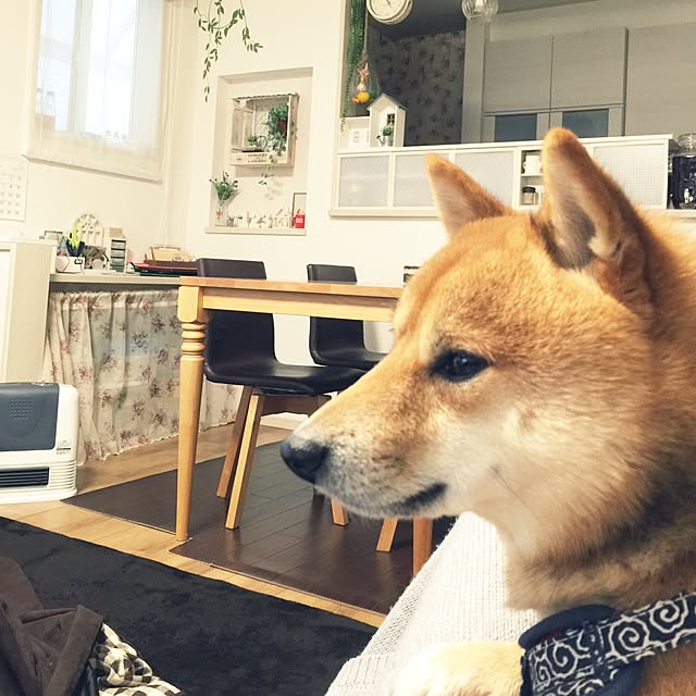 hanakoさんの実例写真