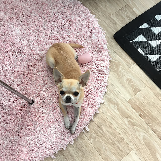 Hanagoboさんの実例写真