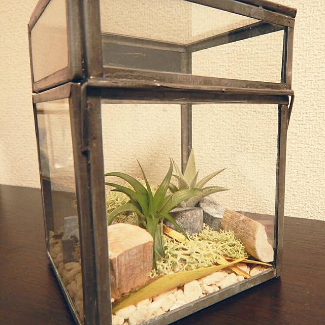 issyさんの実例写真
