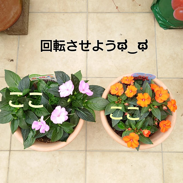 nao525さんの実例写真