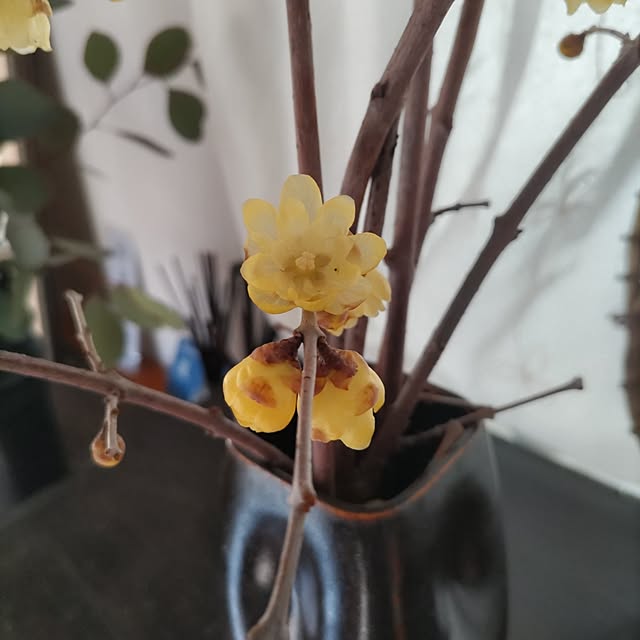 salacocoさんの実例写真