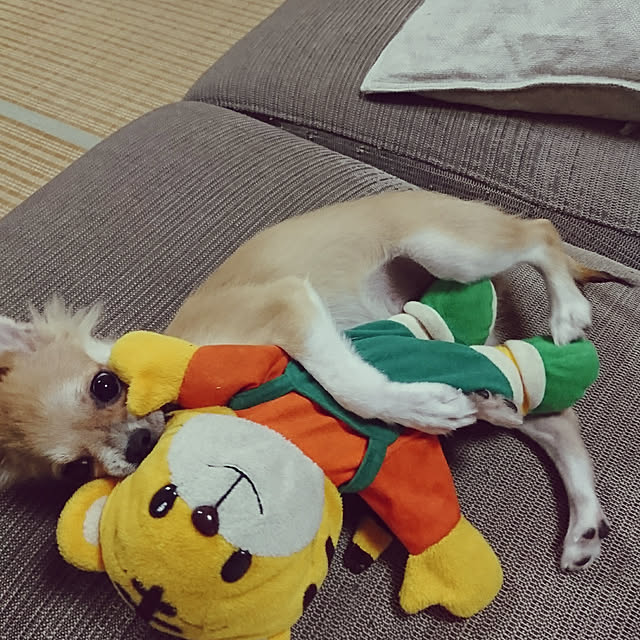 nattimomoさんの実例写真
